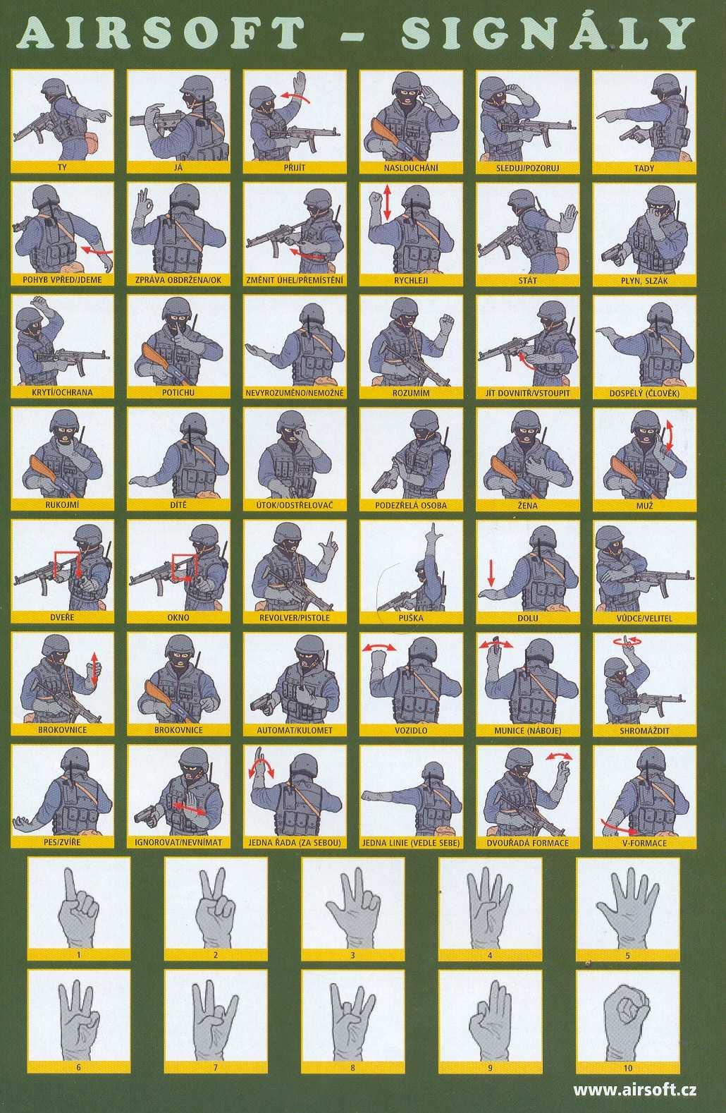 Kopie - Kopie - signals.jpg